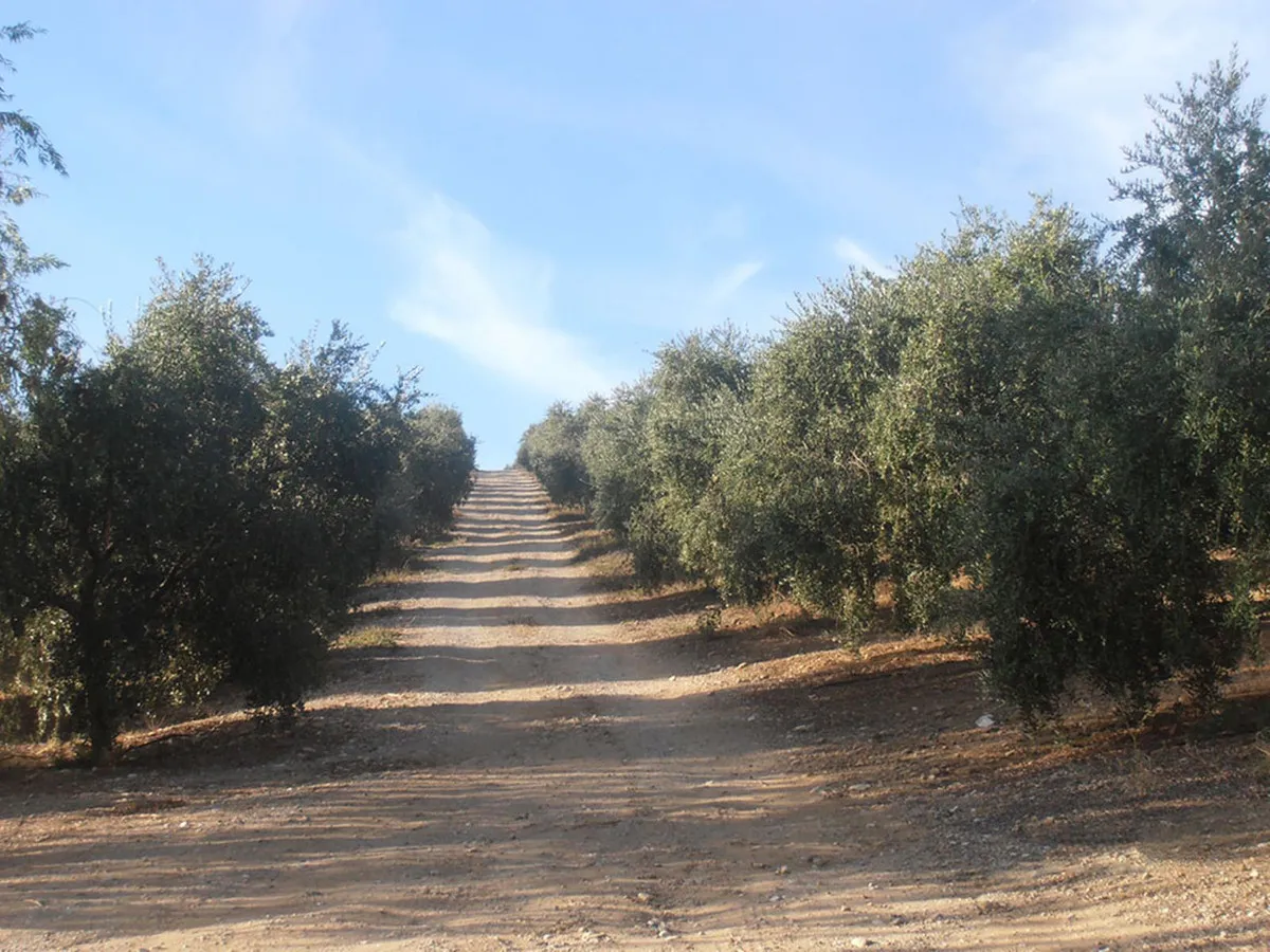 f59f3a30-c5b1-40f7-8068-b620f8f317ca