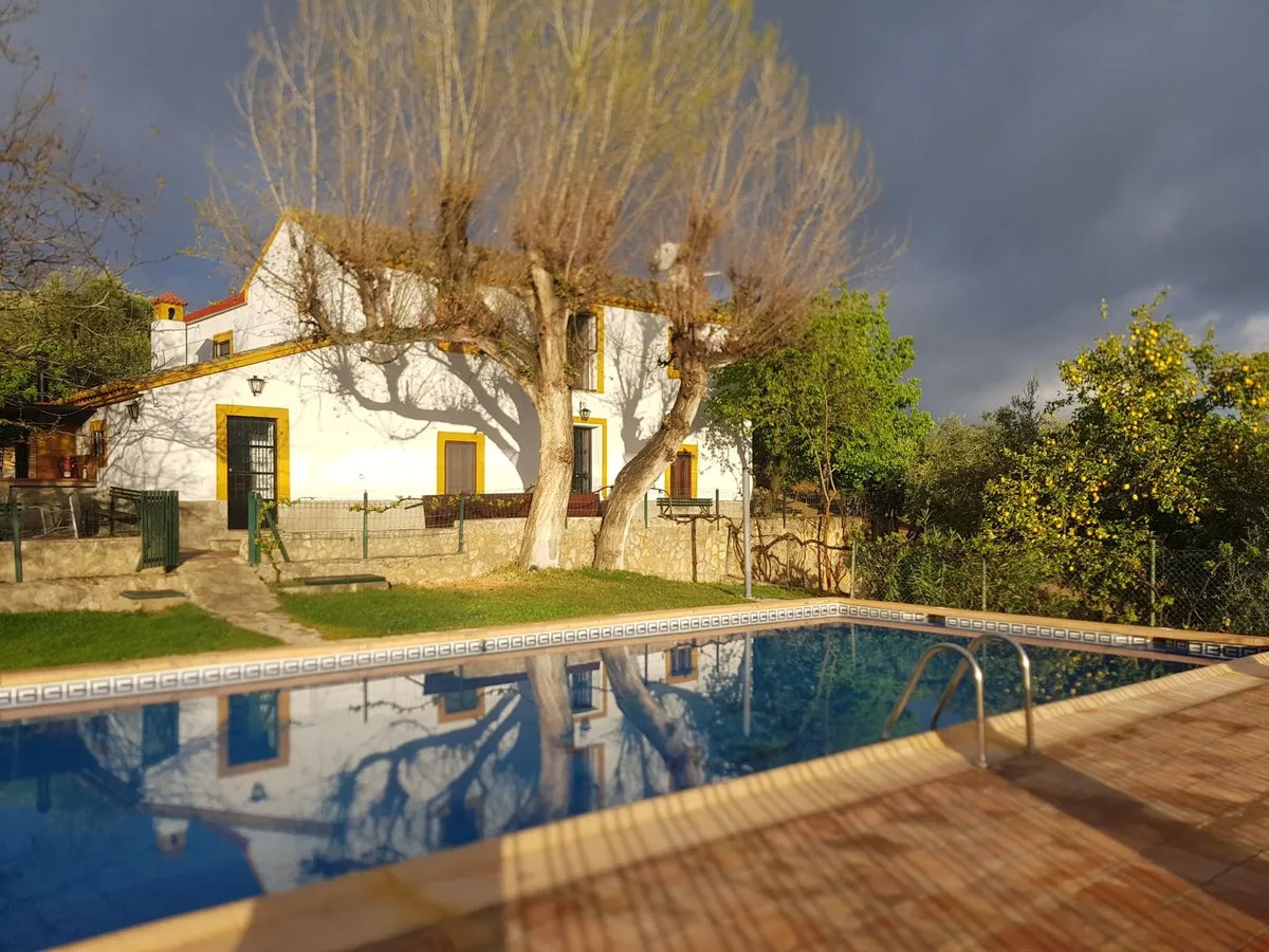 f81d8c47-9675-4062-b574-6c6405480f6c