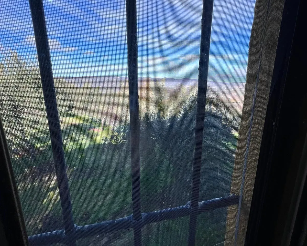 375bbdb5-d241-436f-a400-a2c313d47b71