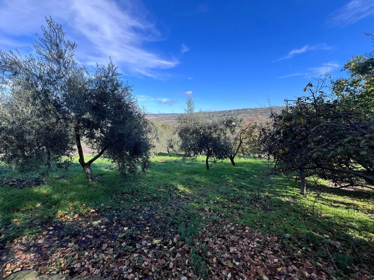 39a24abc-98a9-4626-b2ac-93905430a249