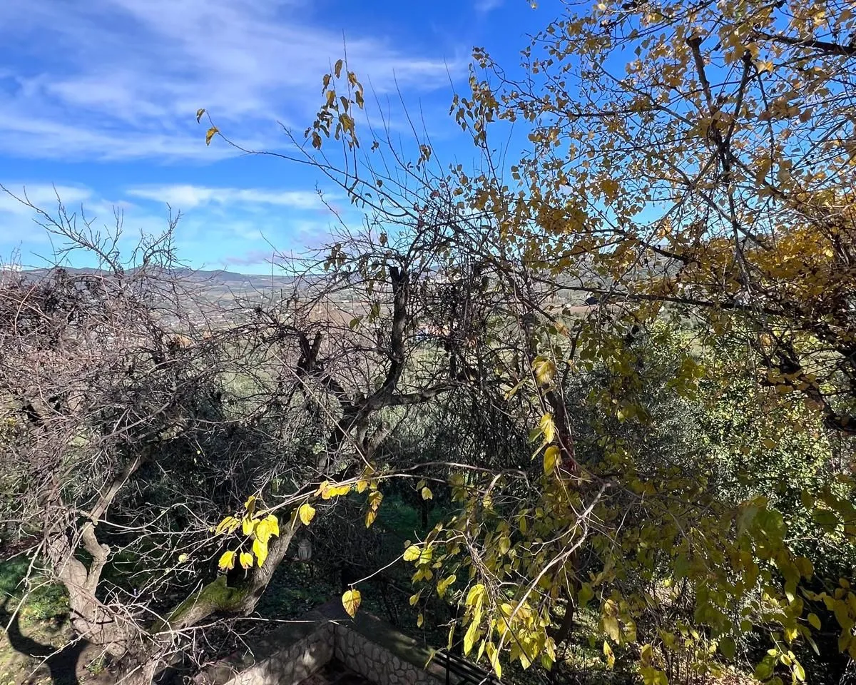 61138330-06b4-44d4-a1cb-3e1e9b30eb42