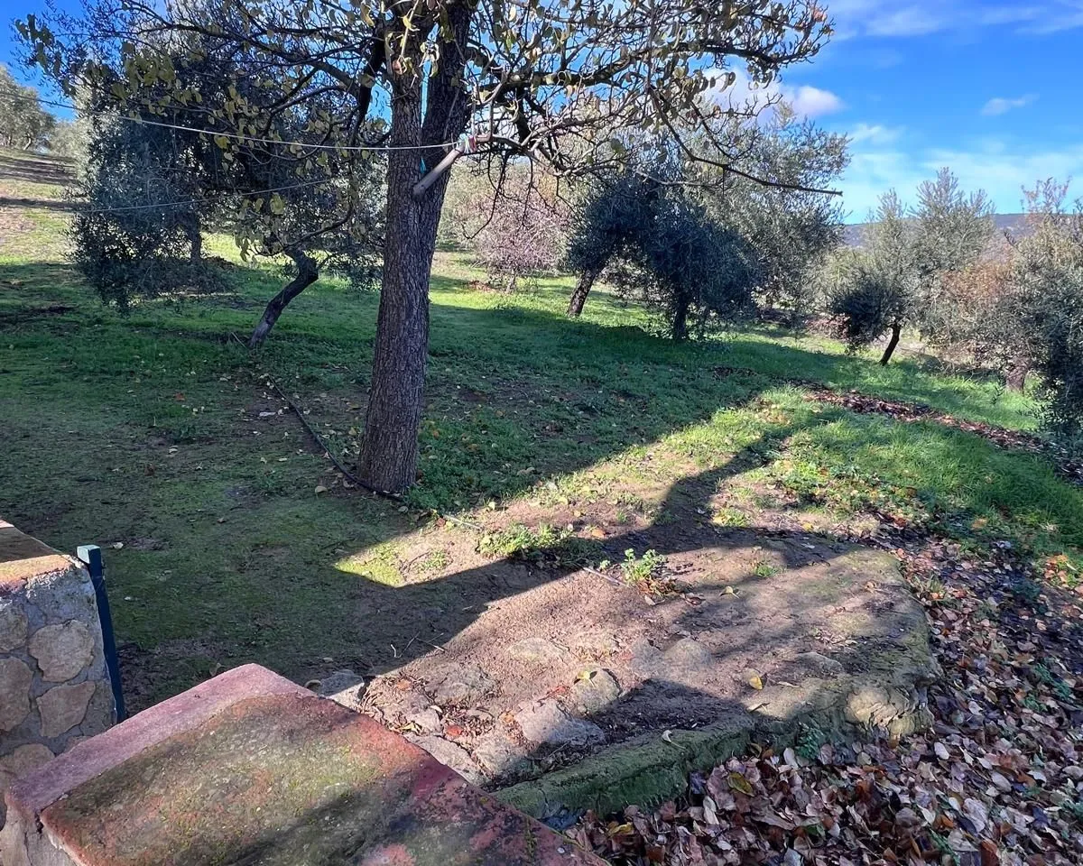 9675bacd-d1fd-412b-b08e-40b3d36c46e4