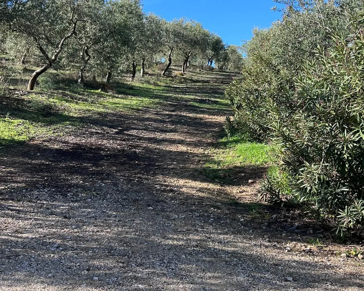 c51c04be-3260-4133-a6fc-1fcb65436306