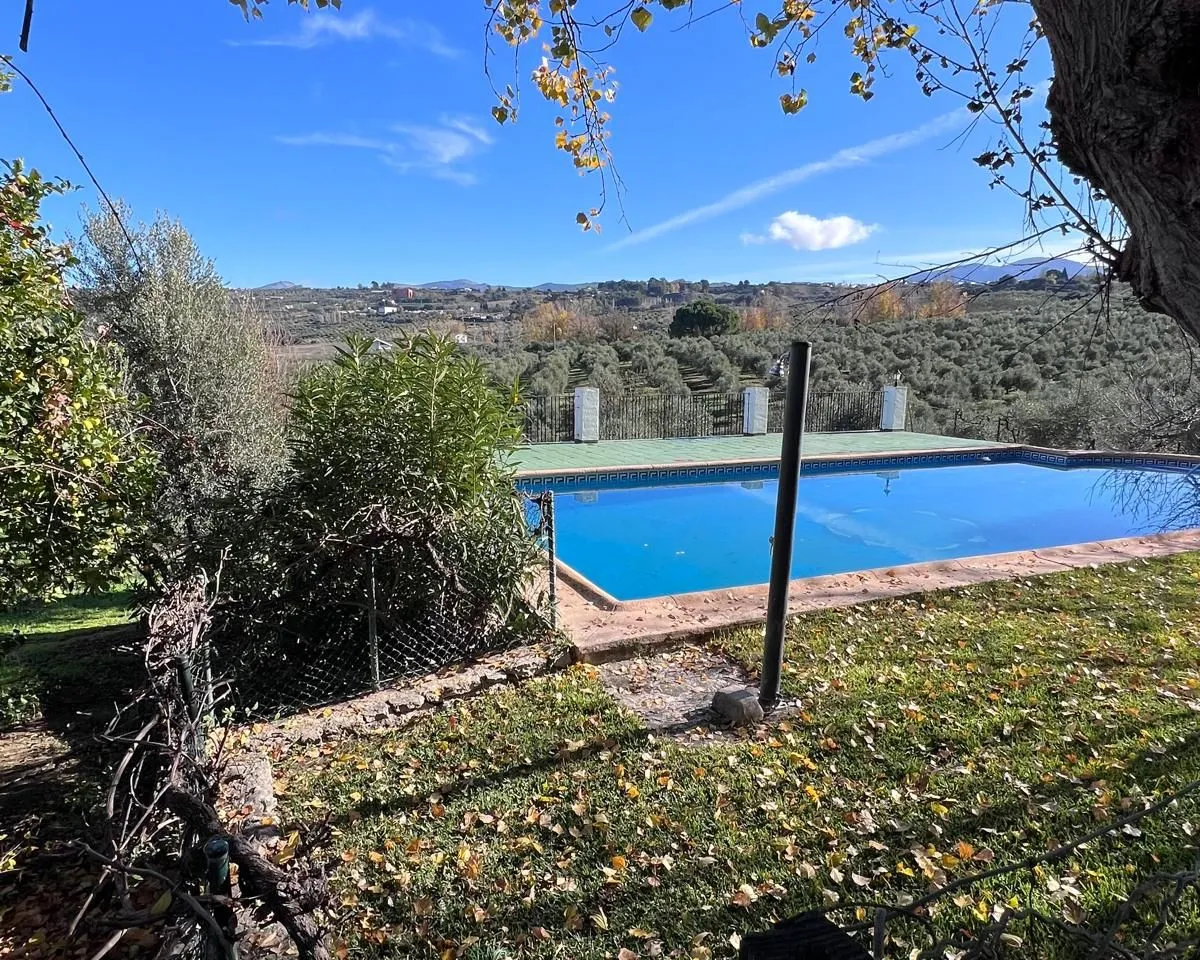 c7c860aa-311c-481d-9c9c-e4ccffdcd6c8