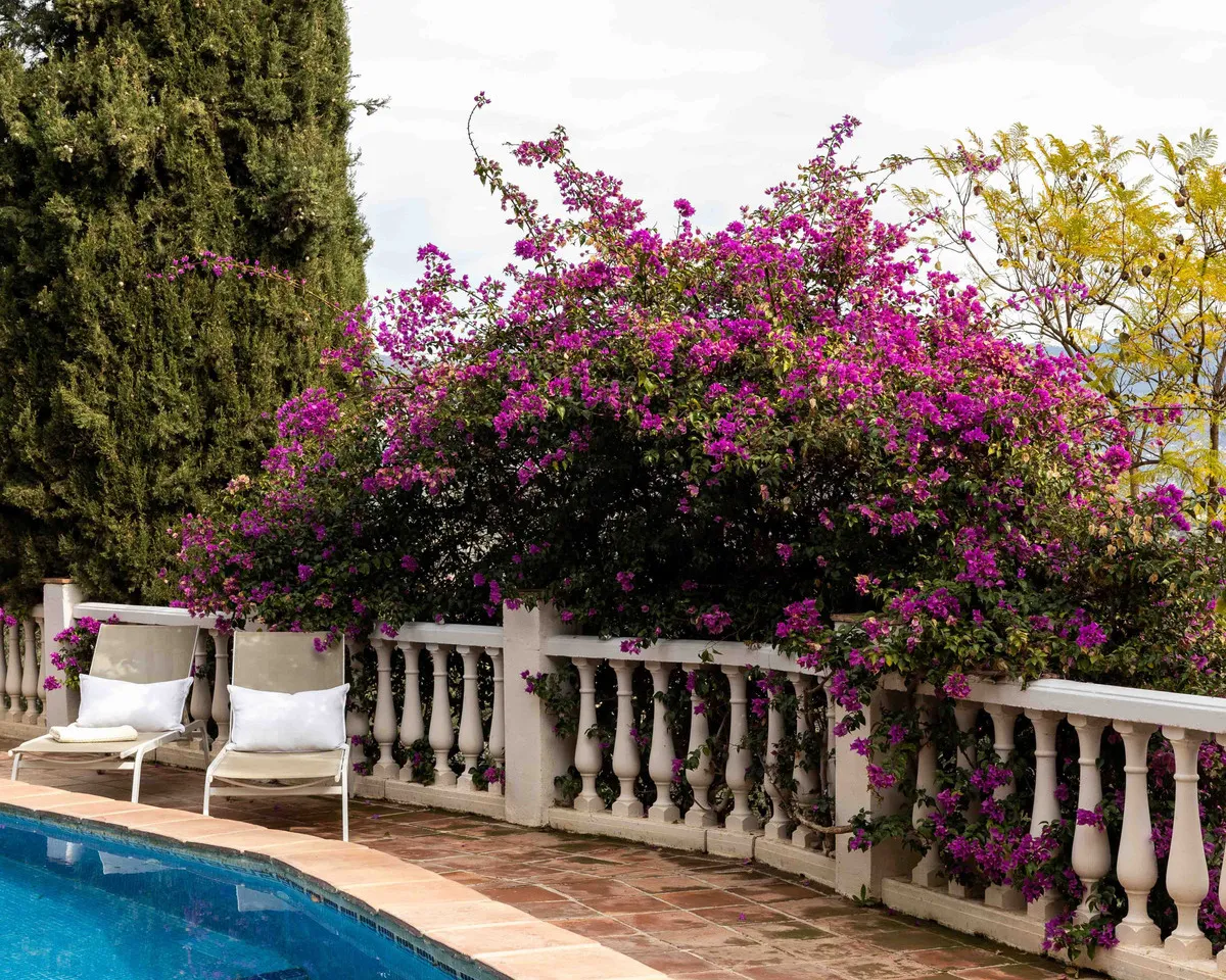 00145bdd-46cf-4da0-a406-8b3e58512e09