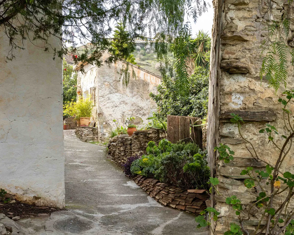 20b2802a-71b4-4dd6-bdd3-85110e015e5c