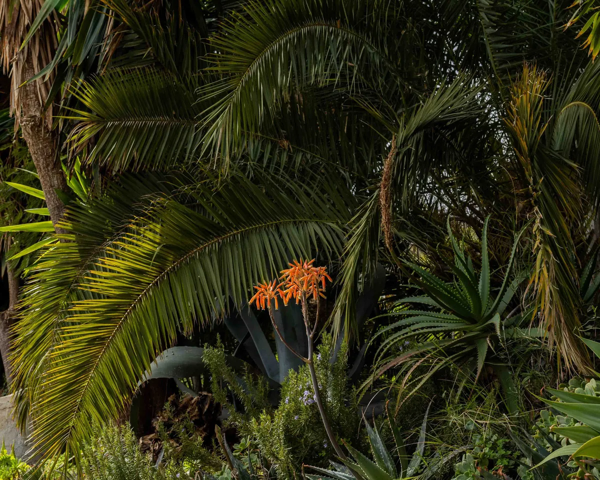 2a335aa6-d5b6-4522-9274-fd238a155cdb