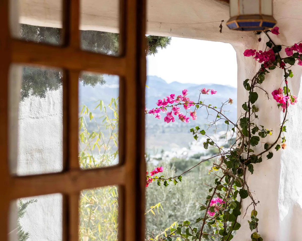 34d184ef-0c94-4406-ac83-926acb34016a