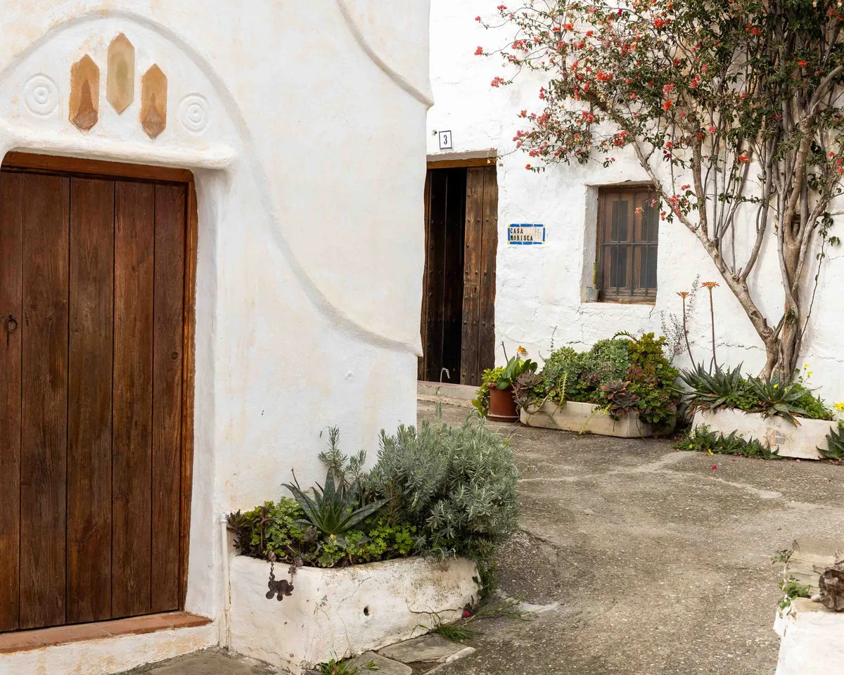 c0c55307-97c6-4e44-96a2-ffdbefebf7f8