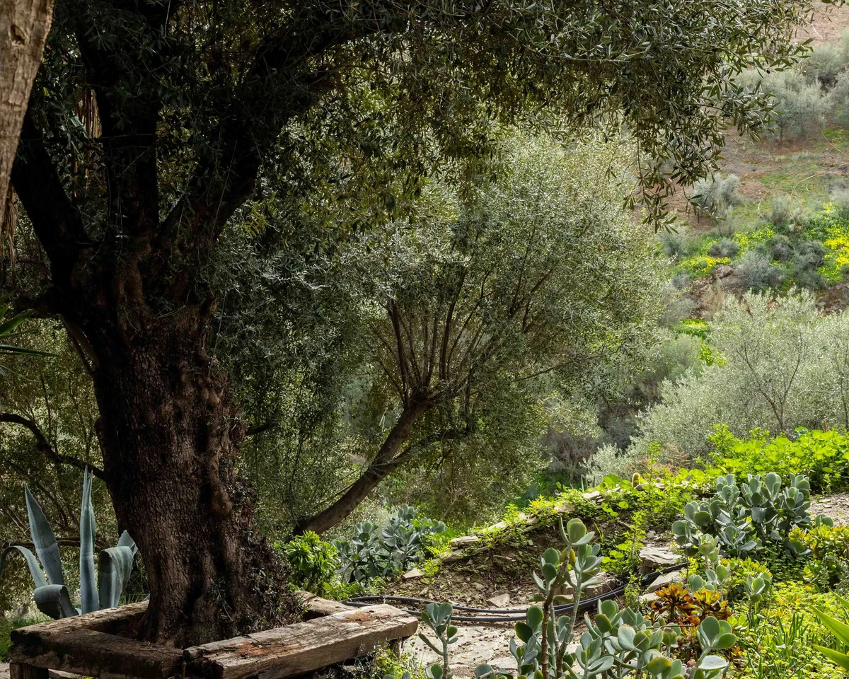 c3a381f2-4406-4e9d-a8c7-ad0f0e985fd3