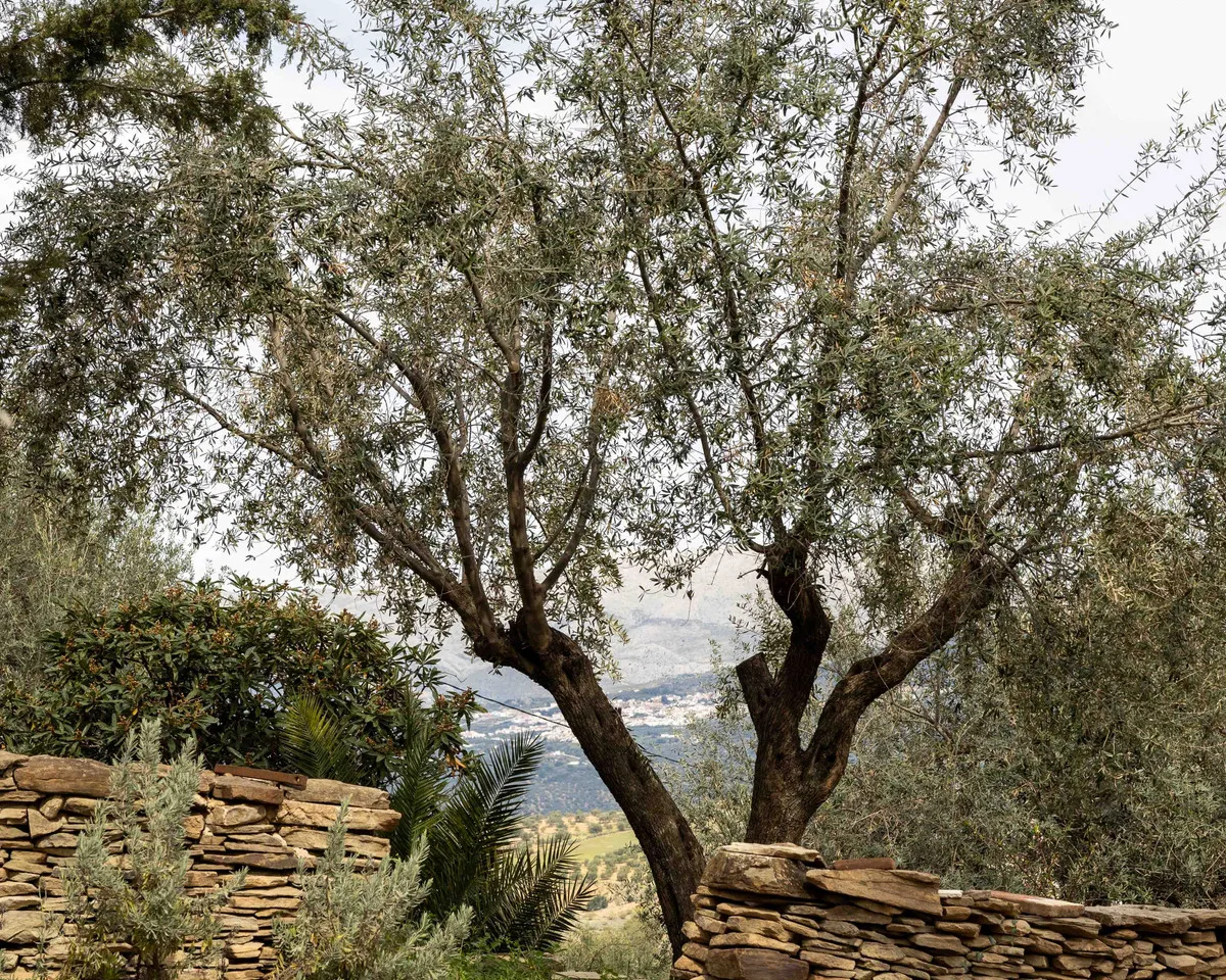 e96f3f9e-3a9a-41f3-b3fc-dc1ba5d5549a