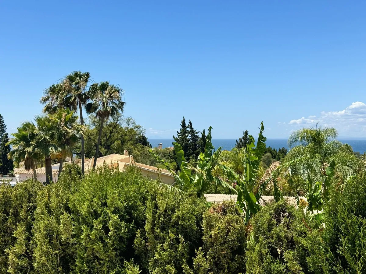 62376ceb-1a4b-46fe-91d0-dd87bd5c345b