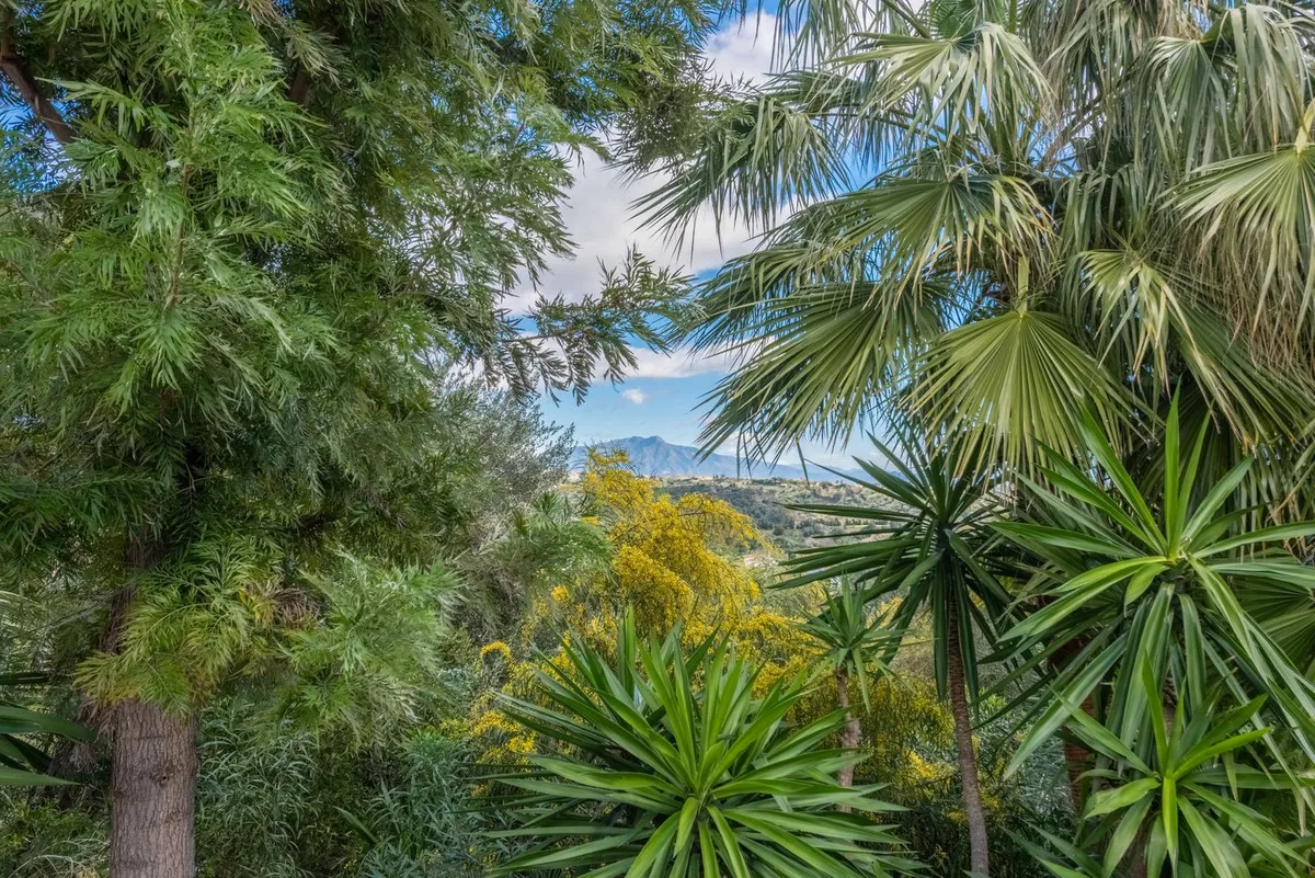 3c010dcc-1cfb-4ab5-9739-56c27b6da4a6