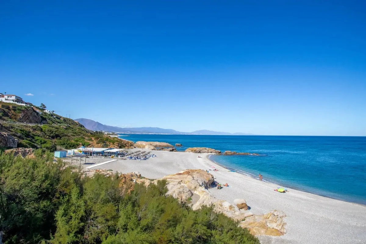 c3ab4f20-c808-4f1b-8447-ced5f3dac698