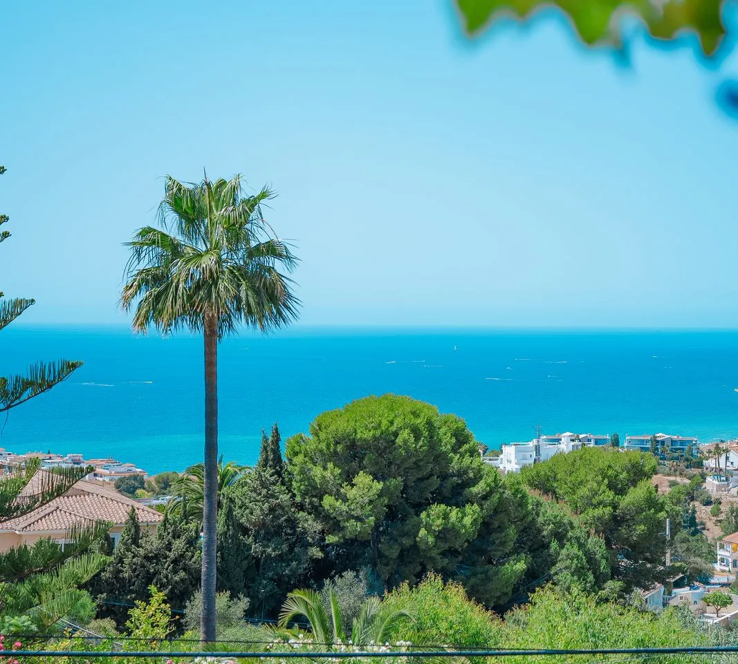 adae81fb-e77c-4035-b5de-0cf71340c6d4