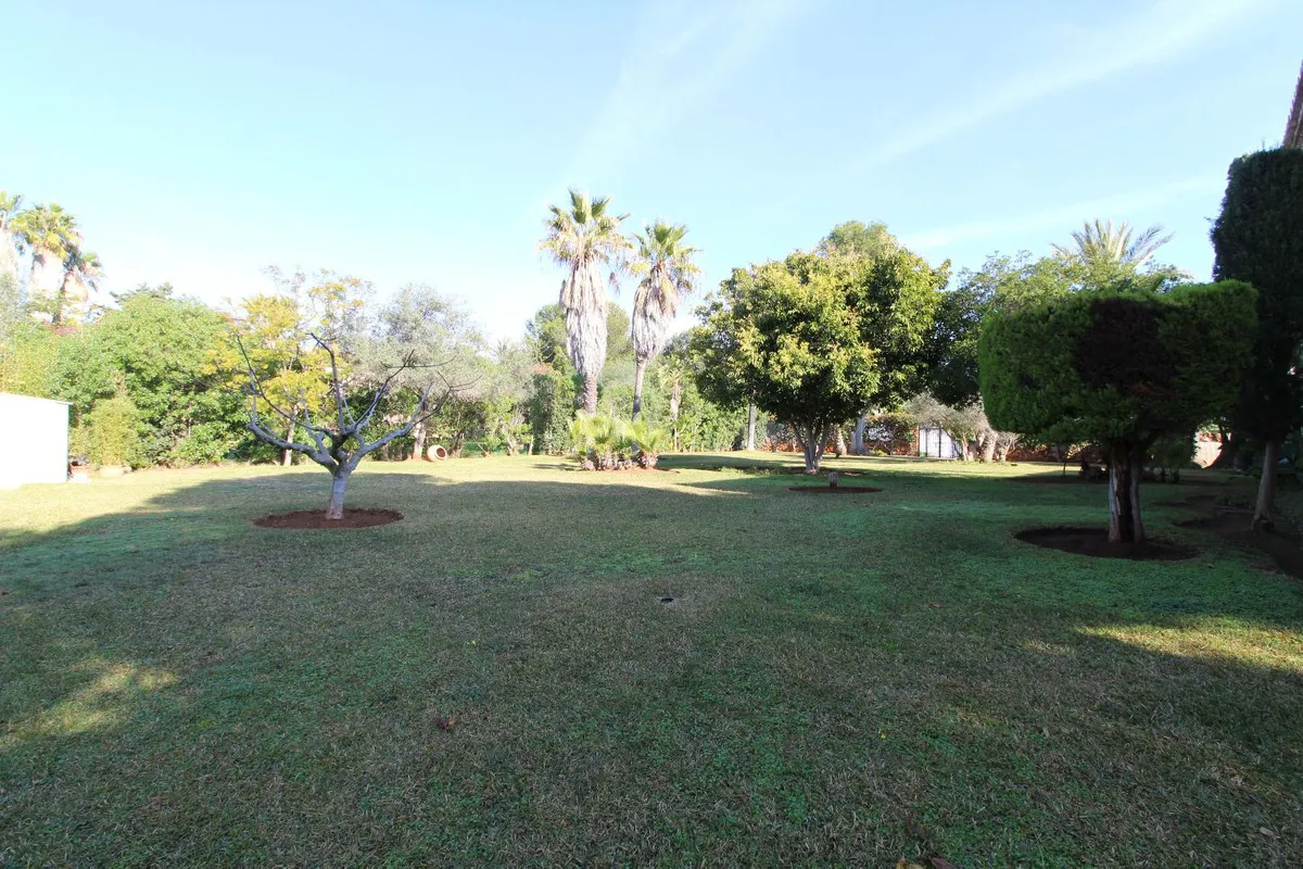 14e53b4f-345d-4b47-9fe1-180ed73a9bf0