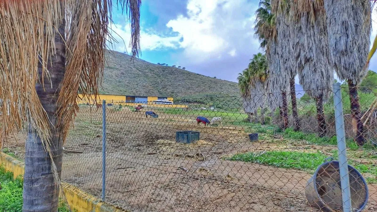 09d2cbbe-94c1-4a56-87d3-ada86641af3b