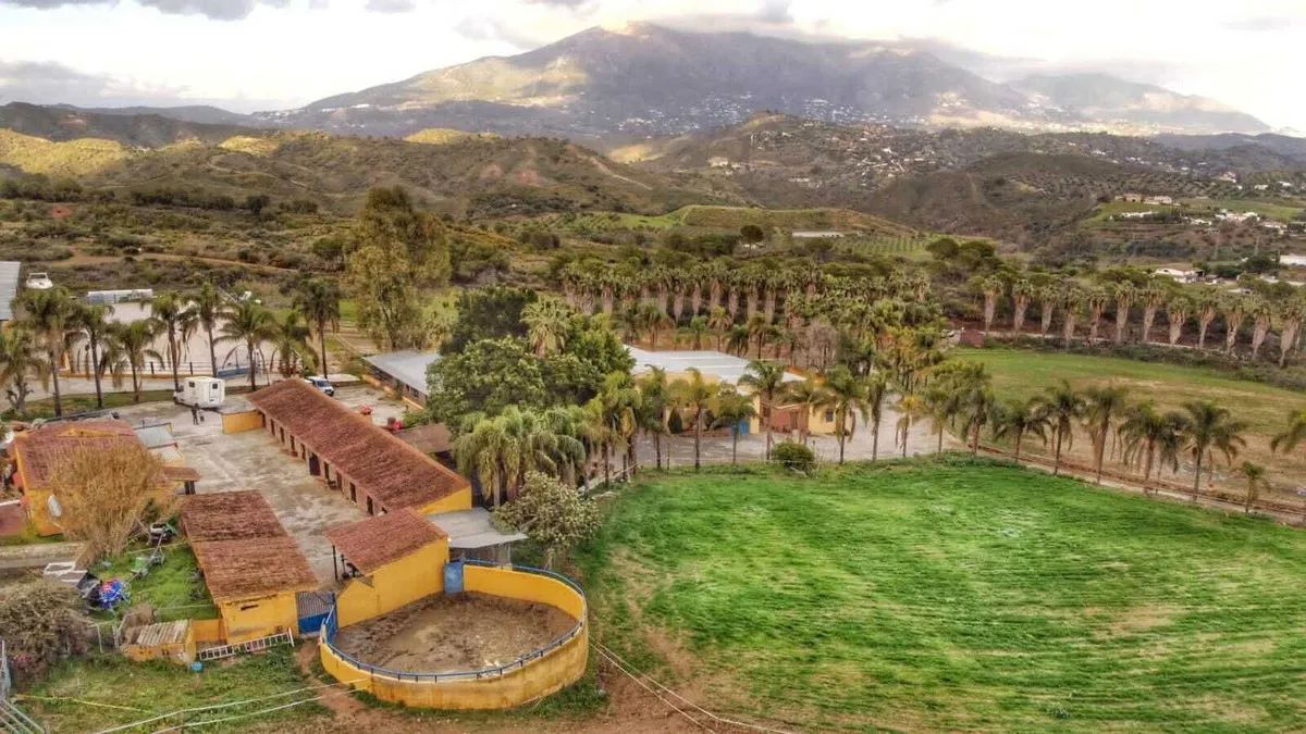 25cb28fb-ecd0-45b7-ab07-b8c90731614e