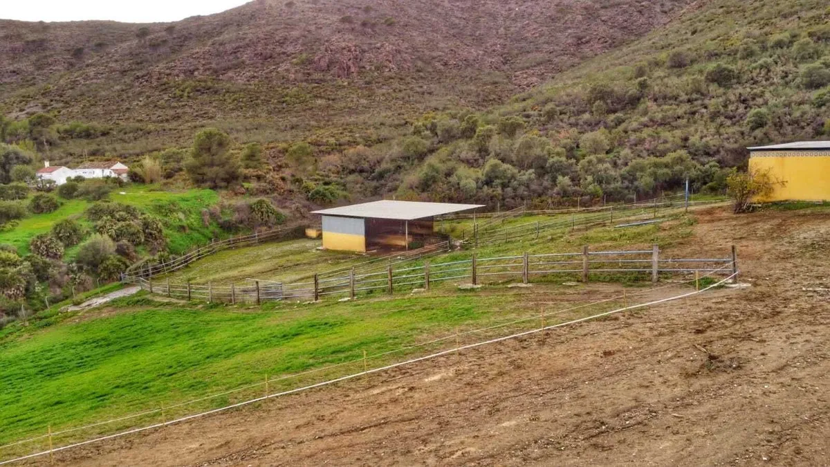 4966e91a-4fae-4b7d-9564-ad5611130366