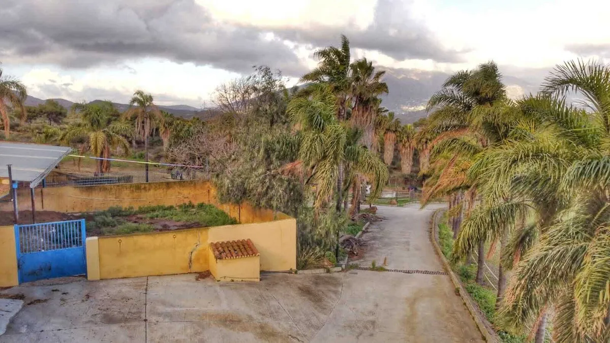 934235c9-4075-406b-867d-33b780dd4e2a