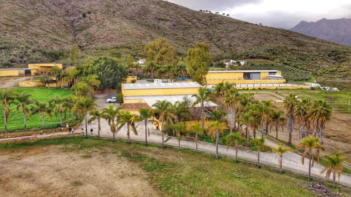 9c07d993-7928-4674-8e3b-f73db11d9eef