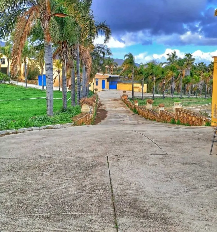 c2ea4a64-0dea-4a0e-92bb-8e1bc3b6c2d8