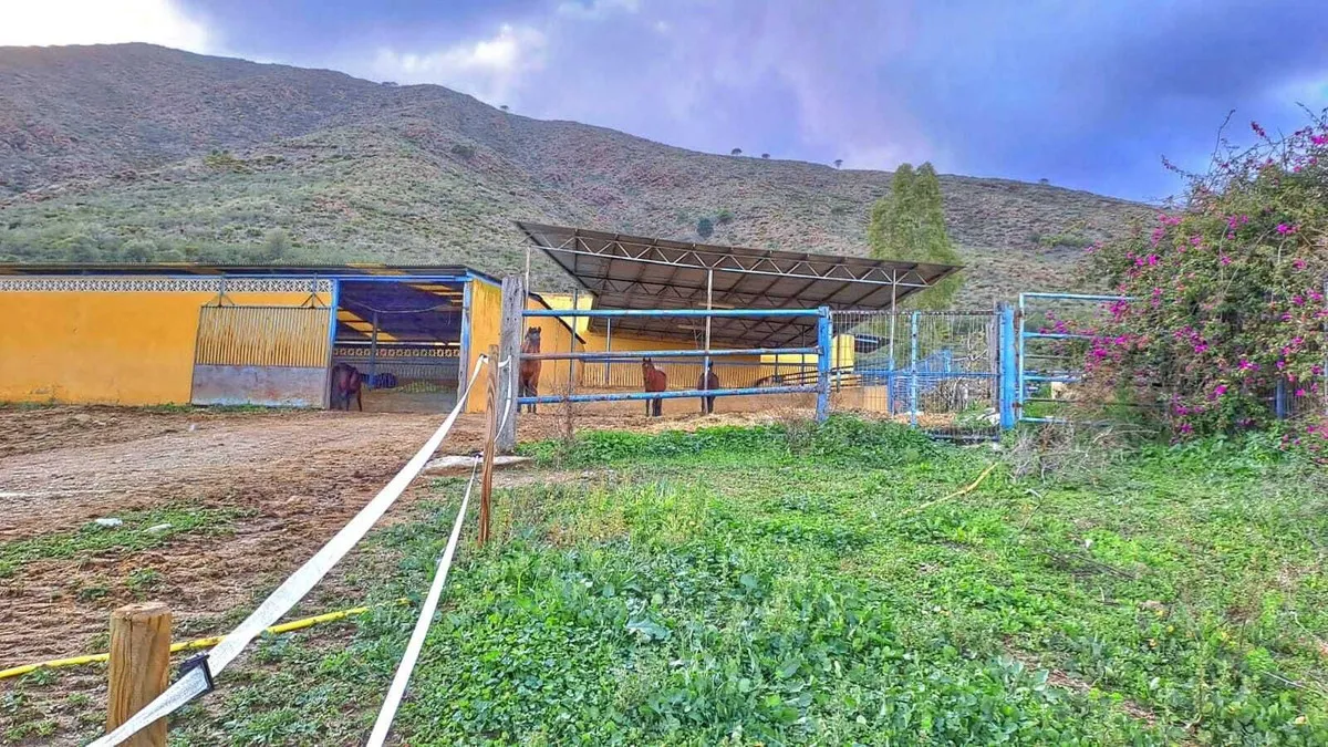 d4b294fe-4037-4f5d-9051-9879f8180c64