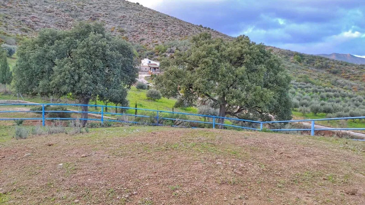 dfd512c8-98c3-46a6-a062-d077e5d27315