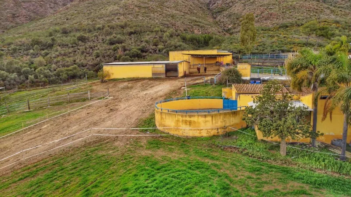 e39c70c7-f769-4604-a881-3a95166ec058