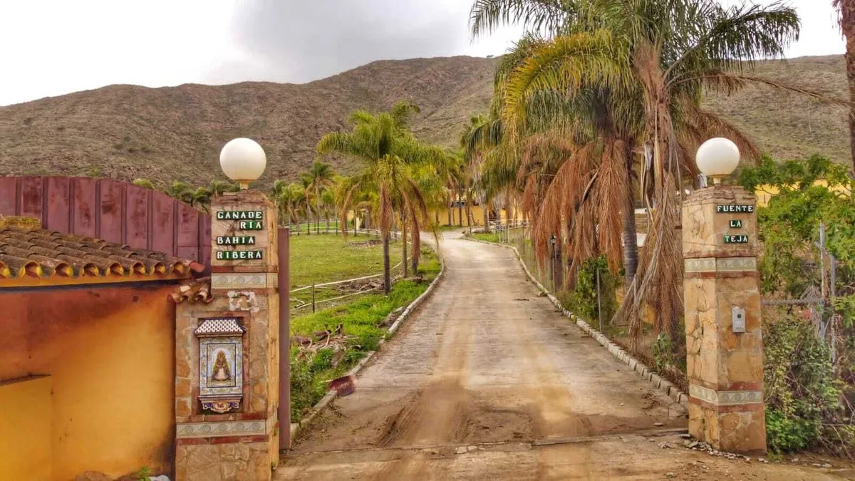 f1998b56-a5b5-441a-b032-7f97a6e2ba3d