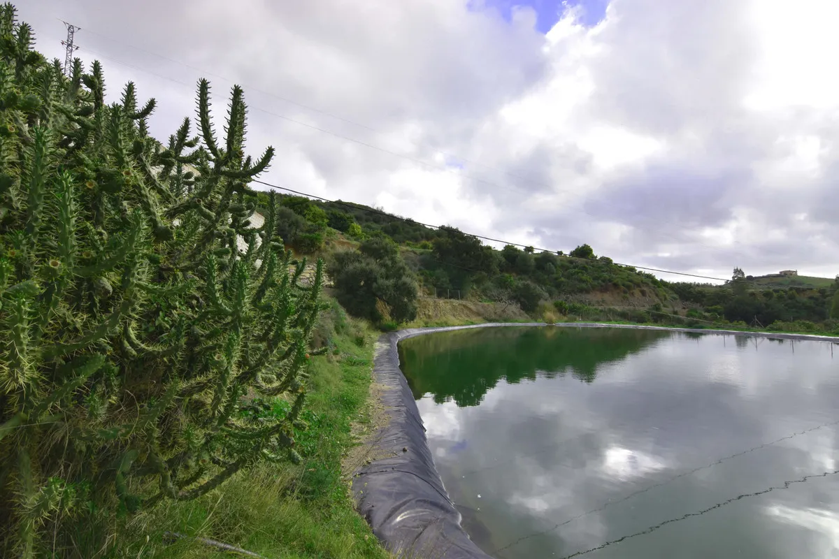 27f25b7e-9805-4f29-81a9-4516f38d8fcf