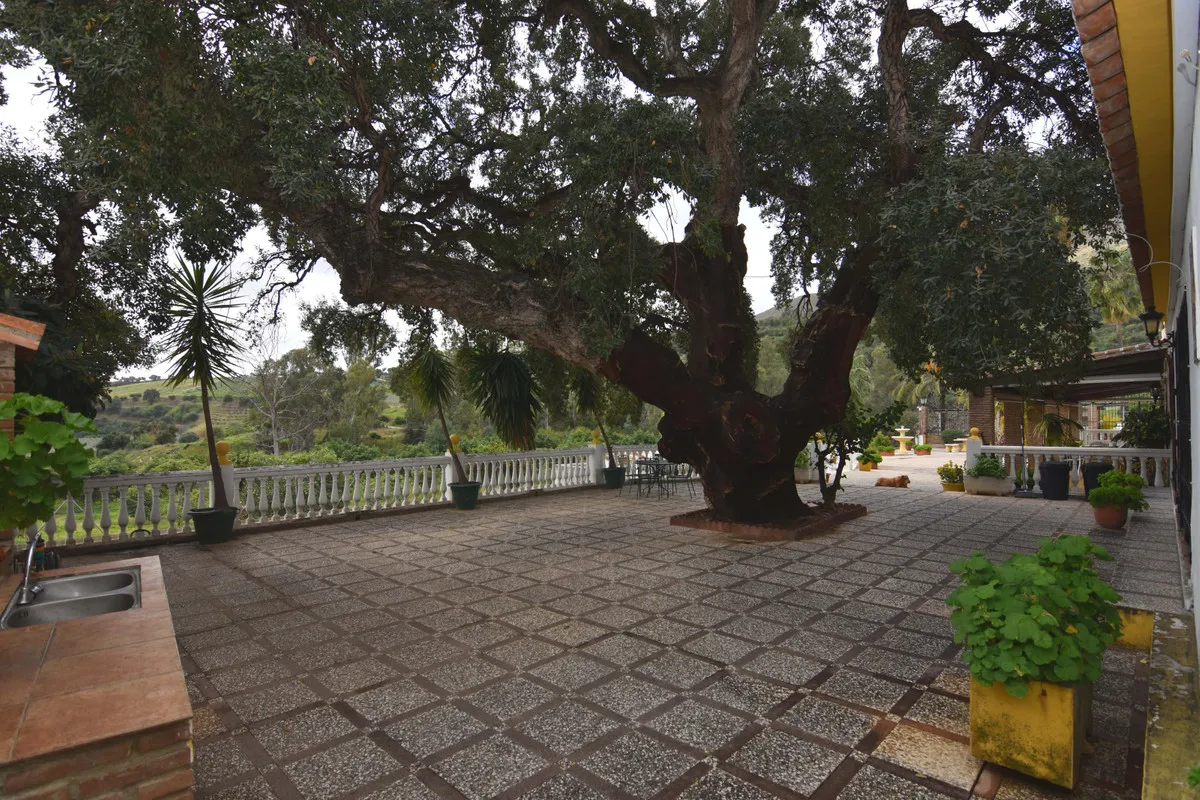 5e11bf9f-cc28-4ad2-a8bc-26be1e409424