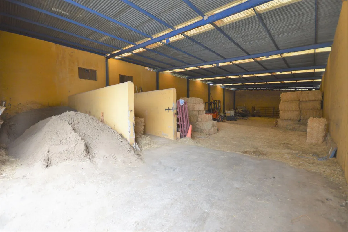 0787c412-83a2-444f-8696-d2455744a5ba