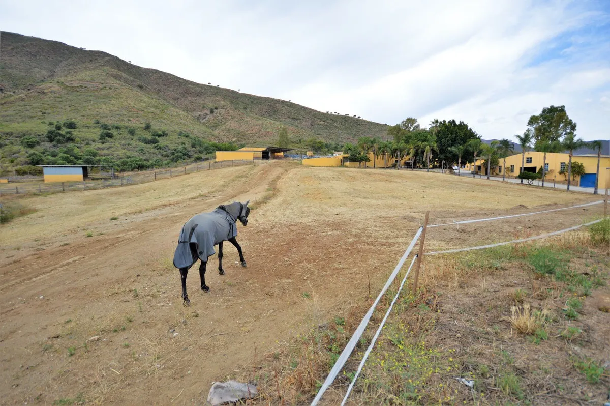 4b7b1865-06d3-4ad9-92a7-25f761c2a533