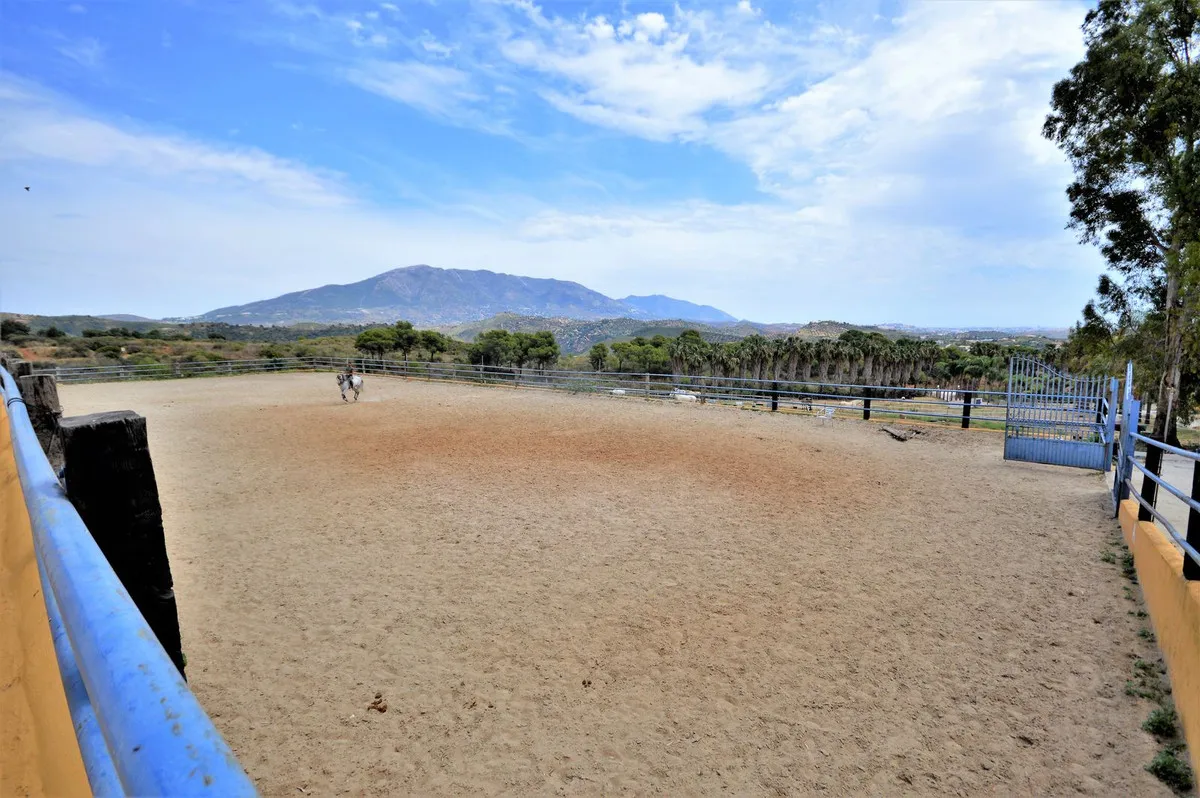 5568d29a-fbb9-4c32-9add-5e8fd0ba5363