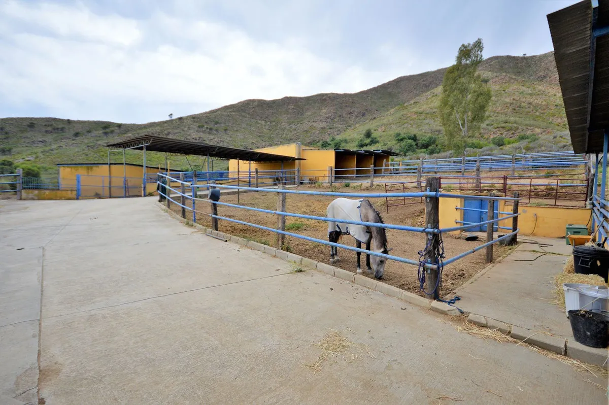 b3948585-9e0a-4114-8a75-7a277fefa82f