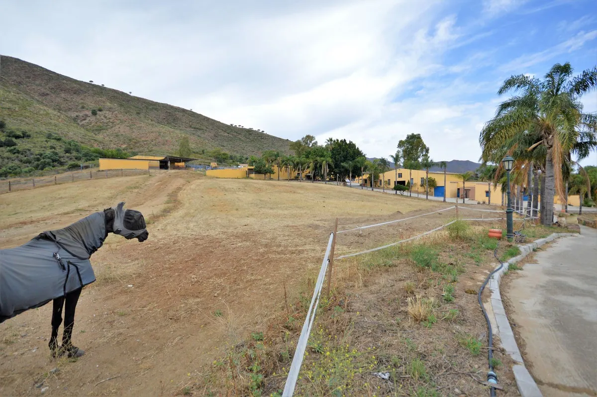 b78852fd-d486-4eb6-9036-e294ba0c62de