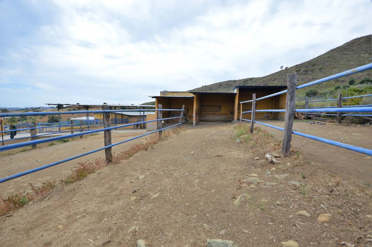 d3f362ef-1799-43c9-a926-08035596050e