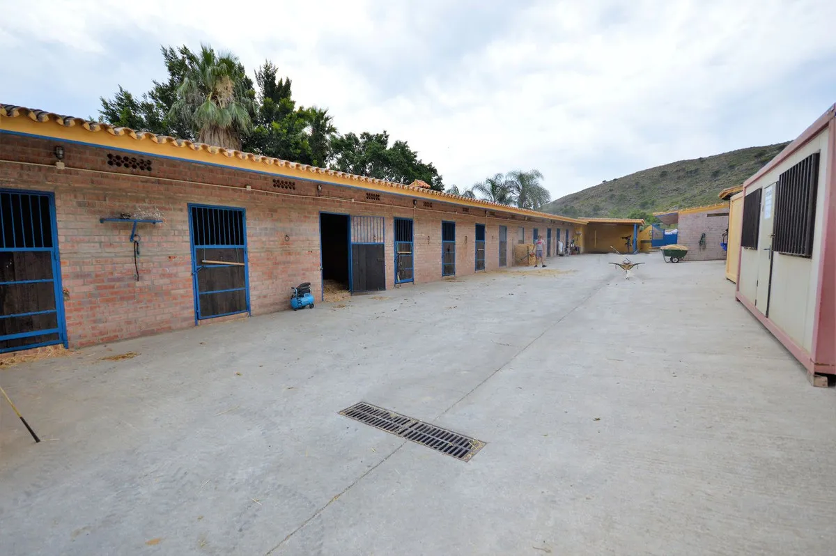 f5c43996-85aa-461f-a904-8c3ea38ffd2a