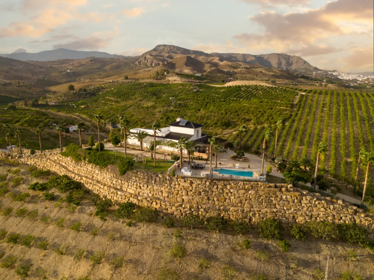 10196754-f291-4054-9212-28c7eec8aa61