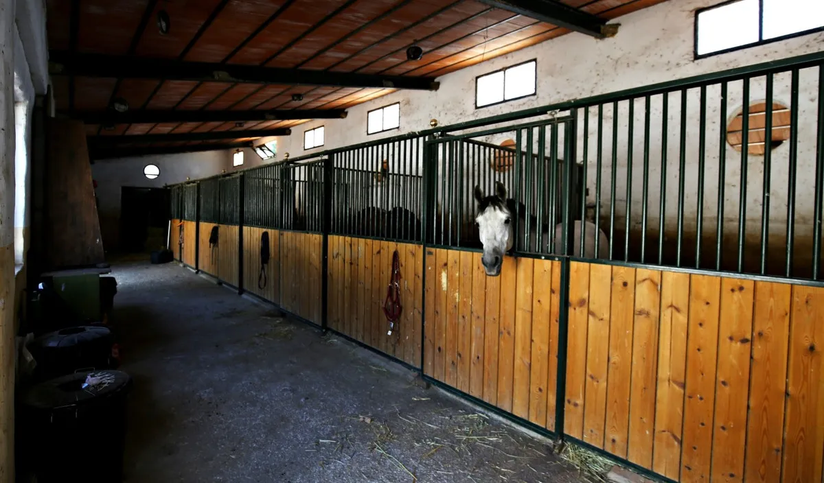 75956e9e-9a04-43f4-92ed-a261dfb406f3