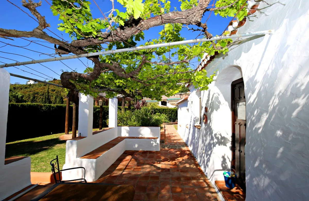 d98f099d-6bab-44aa-8fca-975d7dd6db8f