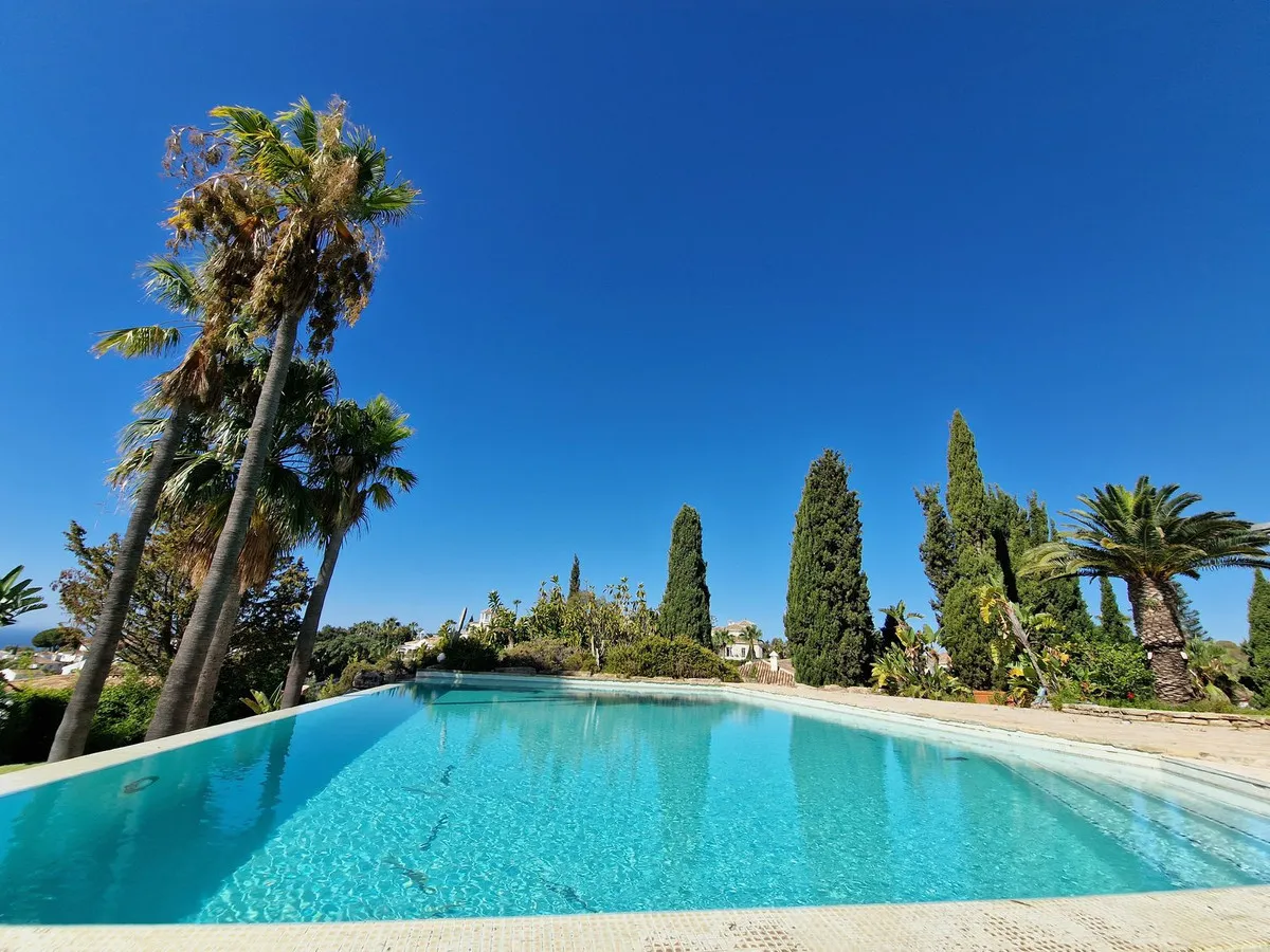 d6362b30-85d1-442e-81a4-5796a2cab1a9