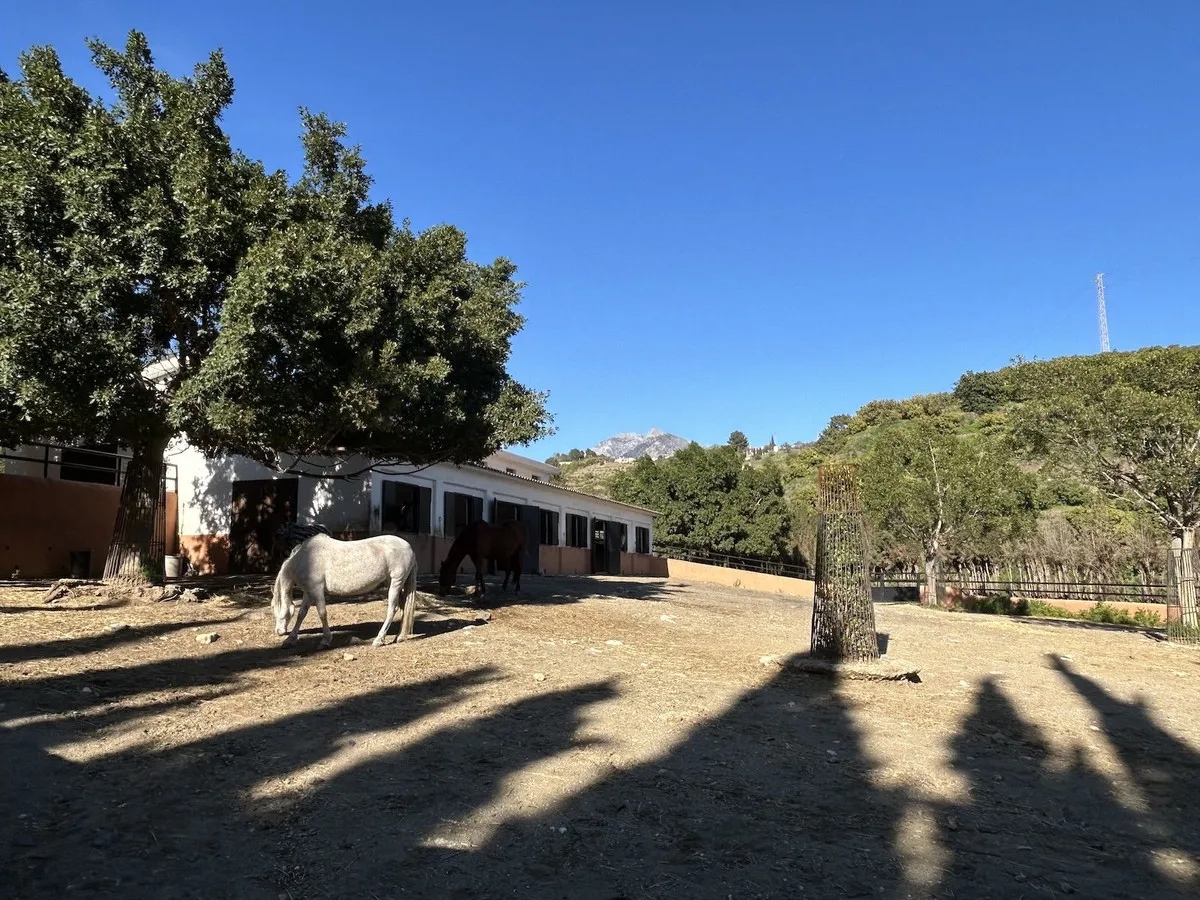 afab1dcc-0c91-40dc-b2f9-b63ce9ed0c2c