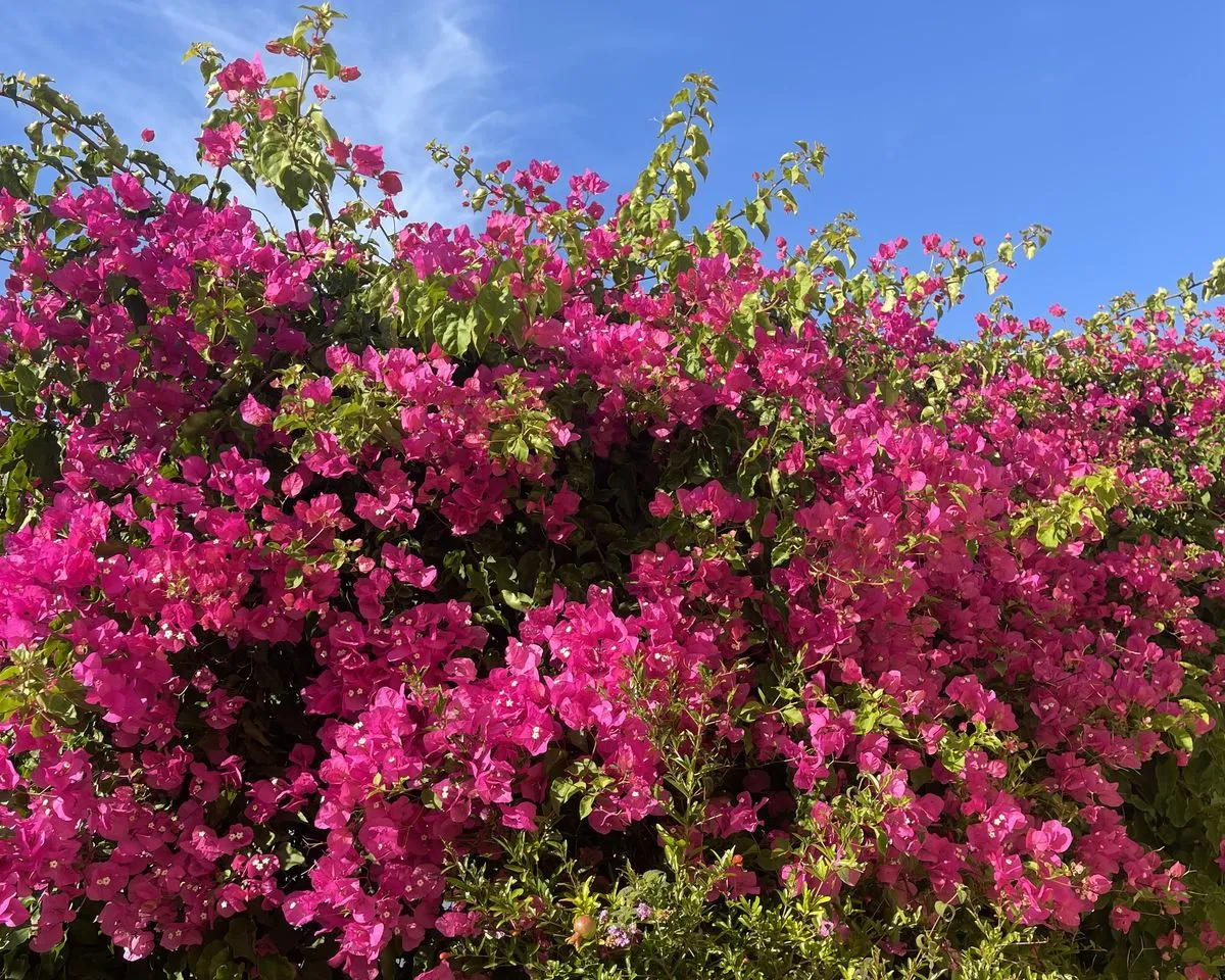 e453bdc7-a862-41ef-a54b-365569afbbc6