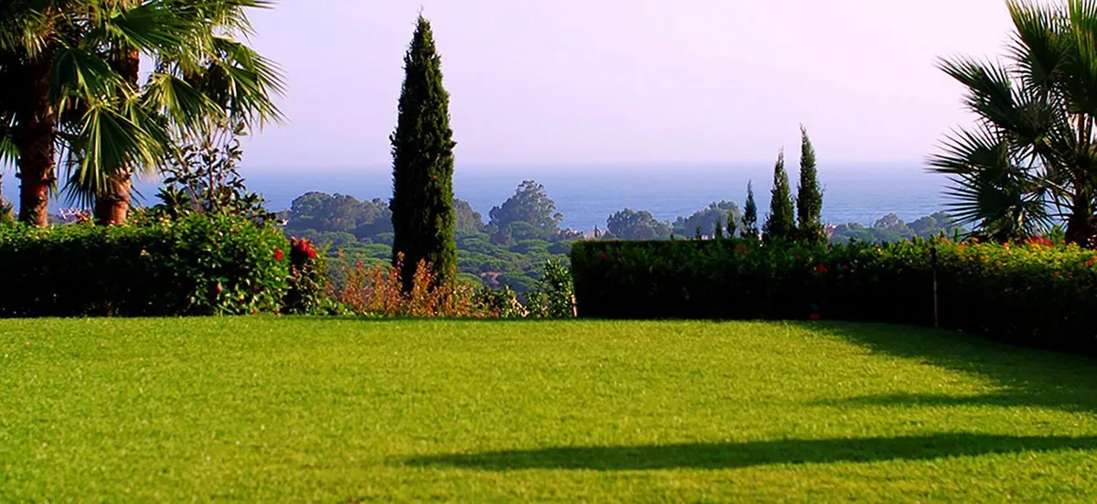 55f87625-3410-435e-9c1c-259027f8747d