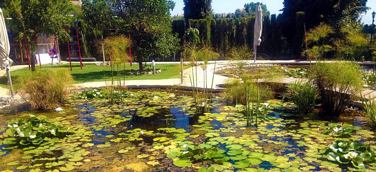 66762b2b-71dc-484b-92ff-9423caeb6a3c