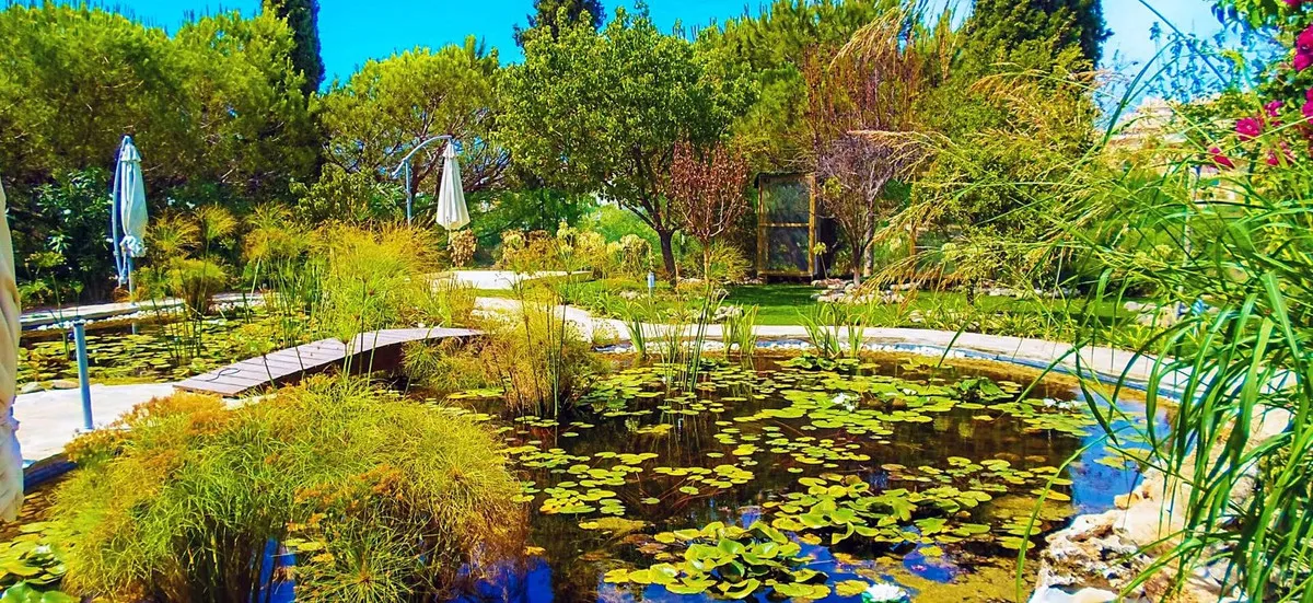 6a83013a-9523-4118-96f9-a8e70cec858a