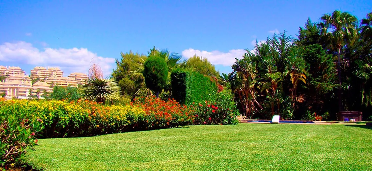 9f37ca75-bf48-442d-ac7b-456f56cfebe0