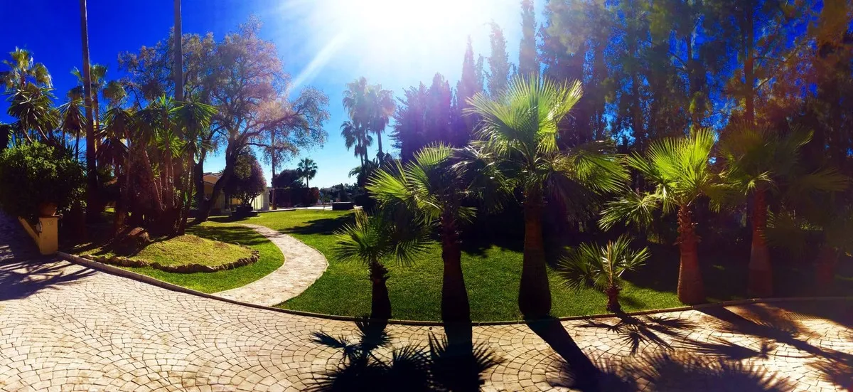 c4b7ec45-0ac0-4c32-9c08-d5aa8f84141f